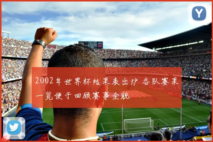 2002年世界杯结果表出炉 各队赛果一览便于回顾赛事全貌