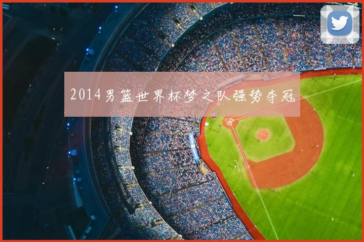 2014男篮世界杯梦之队强势夺冠