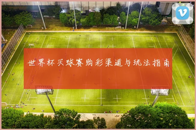 世界杯买球赛购彩渠道与玩法指南