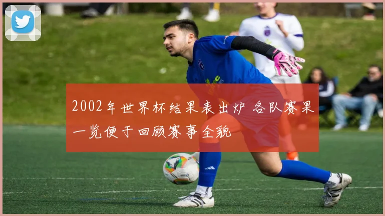 2002年世界杯结果表出炉 各队赛果一览便于回顾赛事全貌